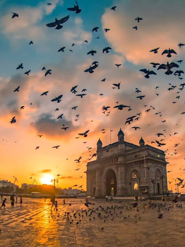 103645936_561818347827450_6864147689962910918_n