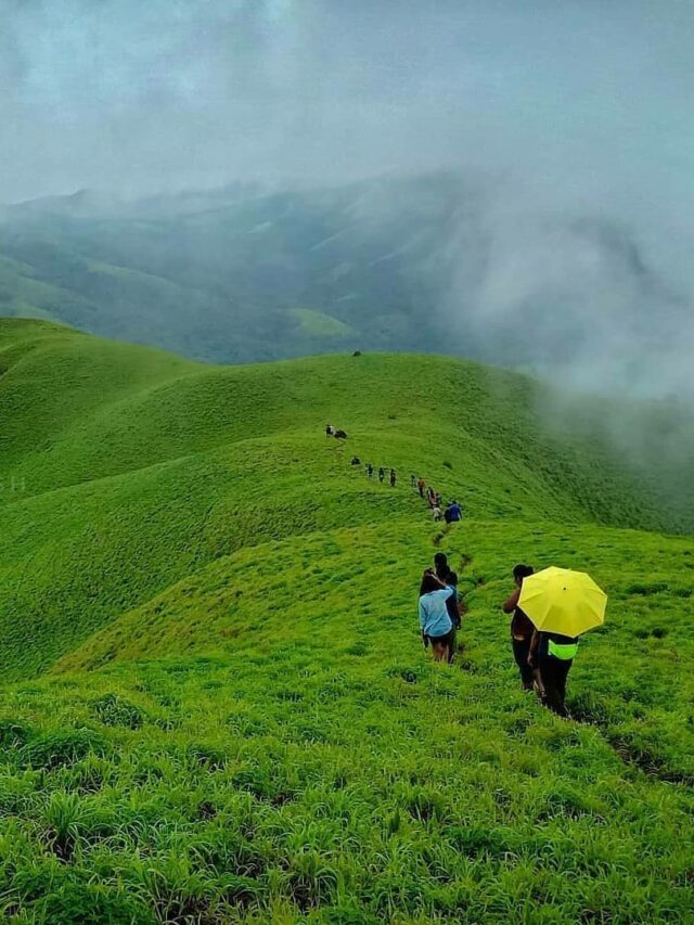 117566222_707995433392316_5001064723926862602_n