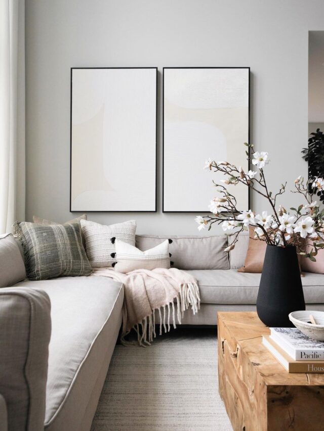 209004050_487395819189118_1558427548898429030_n-e37296d51106441d92ab3c405c0d9f6f