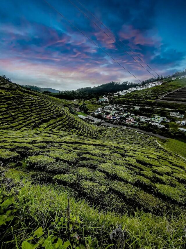 242356369_601702171250973_4752027920737276638_n