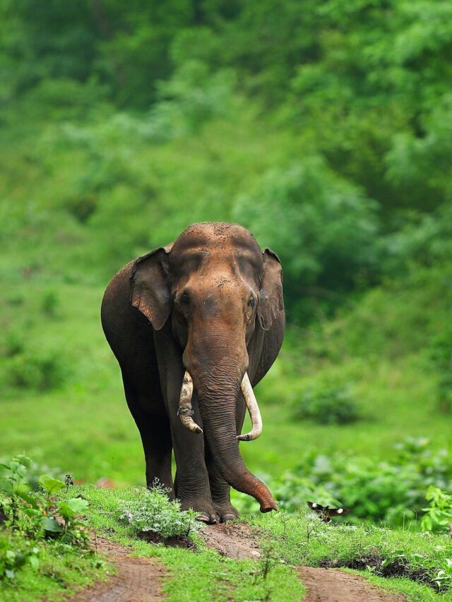 290305699_524750989351381_3881606848008436987_n