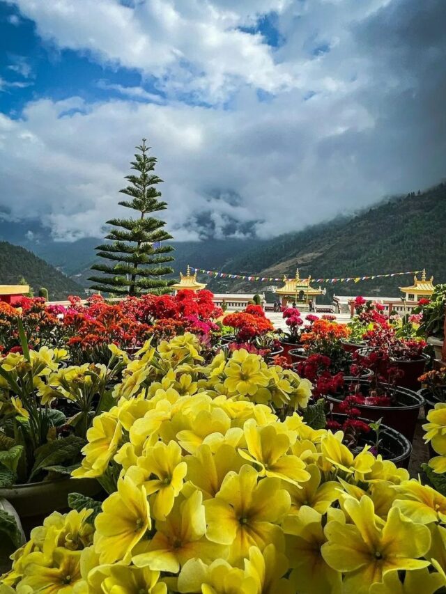 291697633_165342029336401_3470157858027533028_n