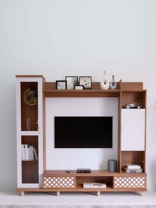 71ce8cgJt7L._AC_UF1000,1000_QL80_ (1)