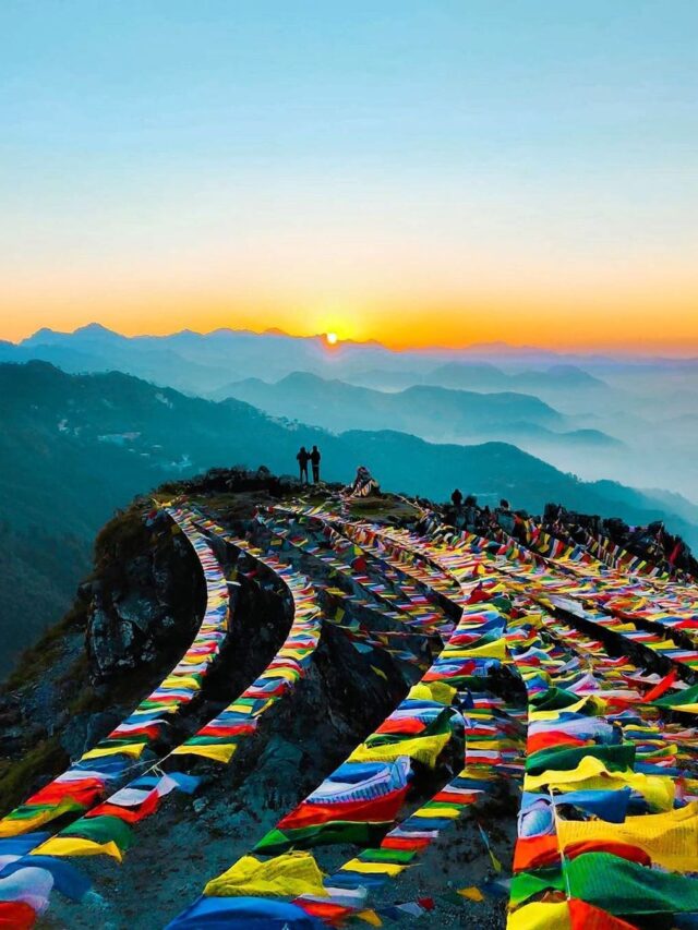 91650650_310616543254777_7404944479448374633_n