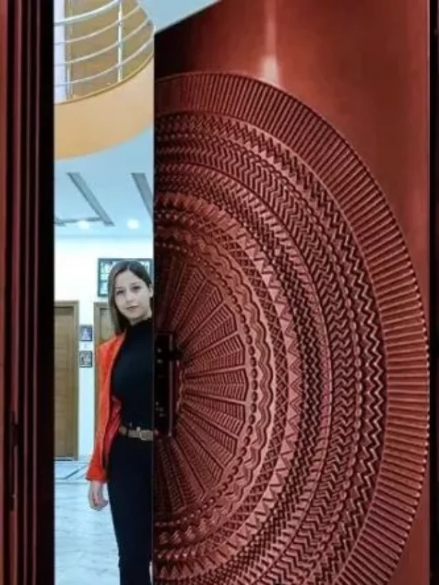 modern door design latest model