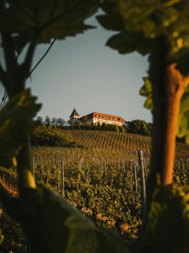 10 Most Breathtaking Places to Visit in Odisha