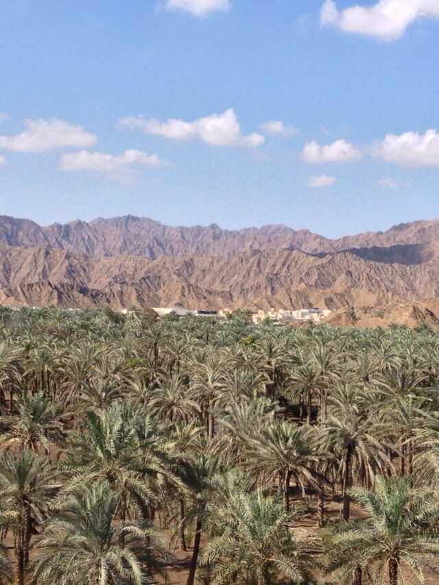 Hills_in_Fujairah_2012_01