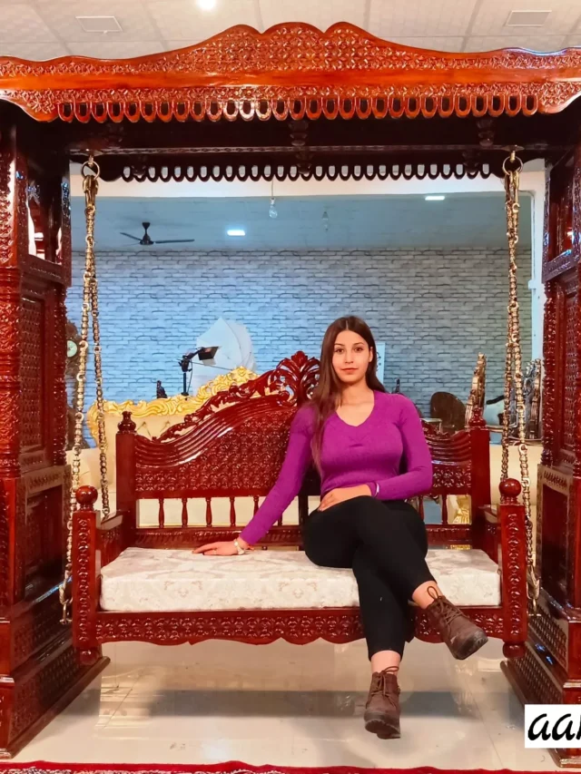 heavy-jhula-design-for-home