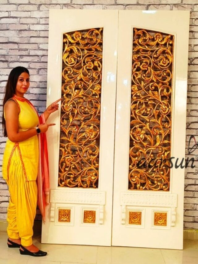 home-door-double-panel-teak-wood-2