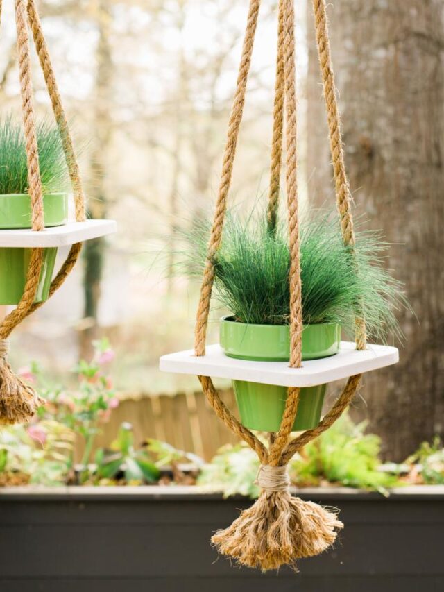 Top 7 Hanging Planters Designs For Your Home Decor - Aarsun