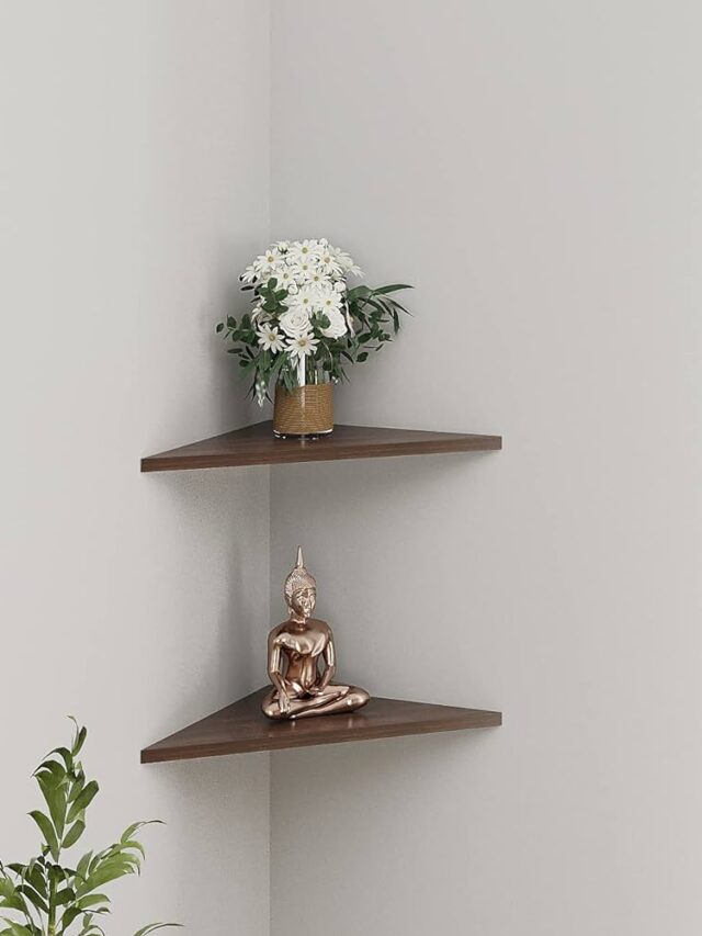 61xsnIW7MaL._AC_UF1000,1000_QL80_