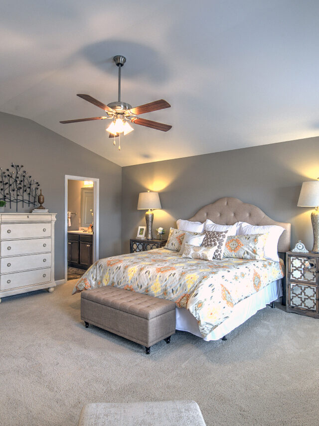 Ceiling fan with light kit