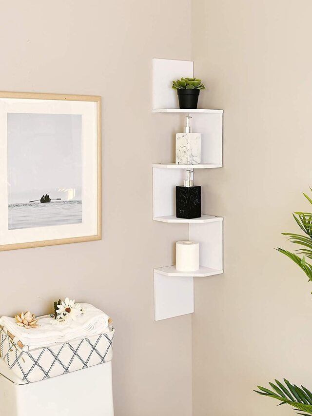 WhatsApp Image 2024-03-06 at 11.50.47