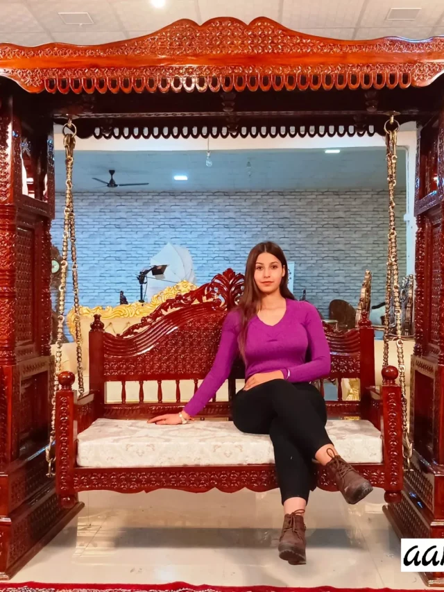 heavy-jhula-design-for-home