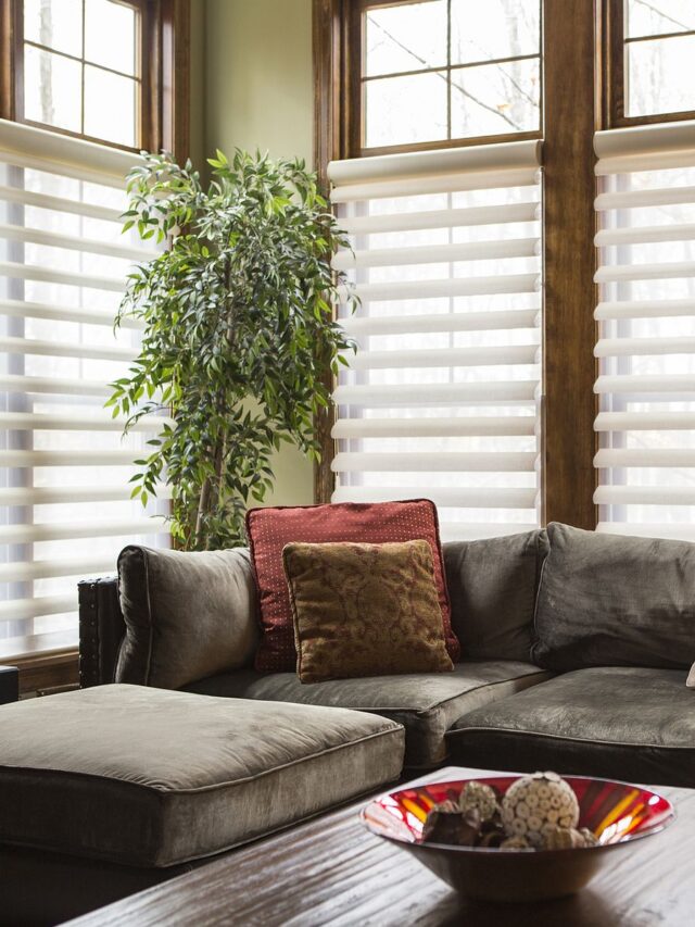 window blinds