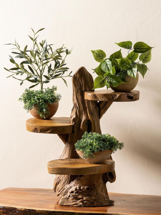 8 Amazing Wooden Plantstand For Home
